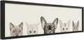 Enclosed Cat Litter Box House Furniture with 2 Doors