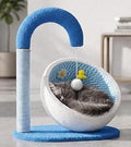Cat Scratching Post
