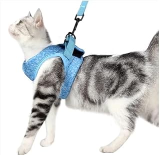 Adjustable Anti-Escape Breathable Kitten Harness Vest