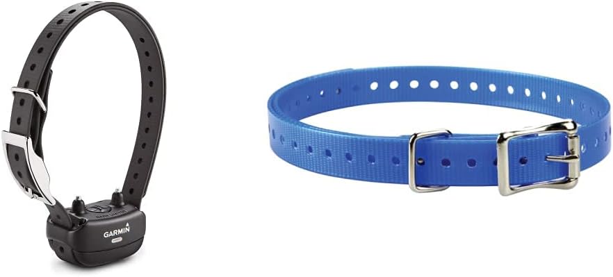 Rechargeable bark collar unit on a blue nylon dog collar strap
