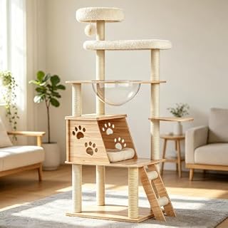 53.5-Inch Modern Cat Tree with Clear Capsule Perch for Large Indoor Cats