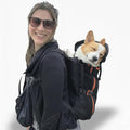 Black front-facing dog backpack carrier worn by owner with medium dog