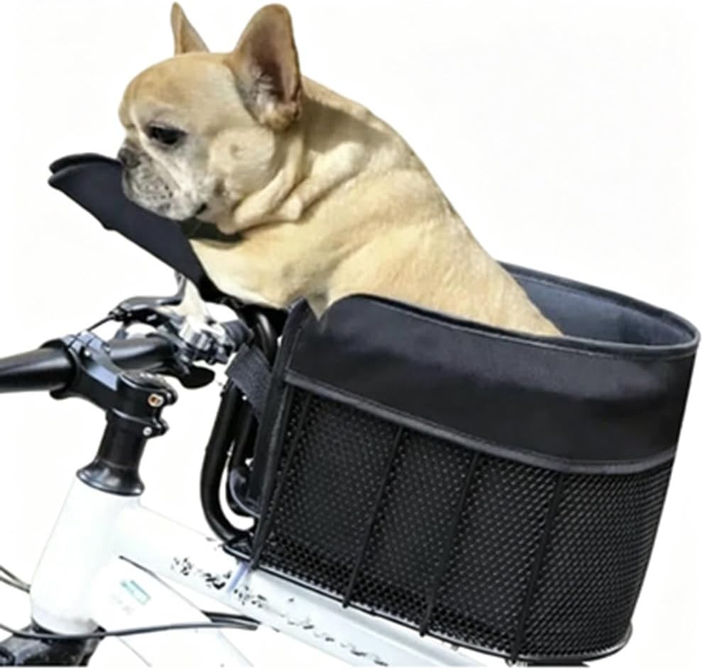 Small dog riding in a mesh front-mount bicycle pet basket