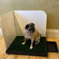Indoor dog bathroom potty station with splash guard and mat