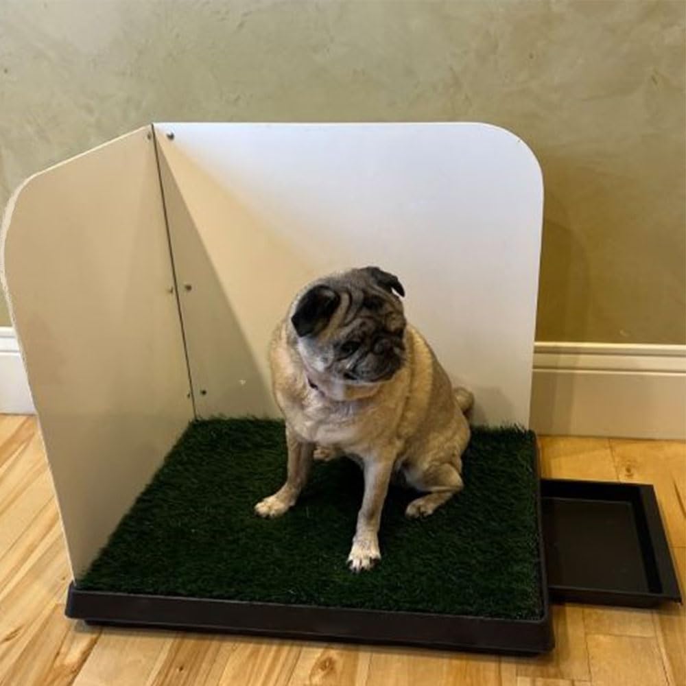 Indoor dog bathroom potty station with splash guard and mat