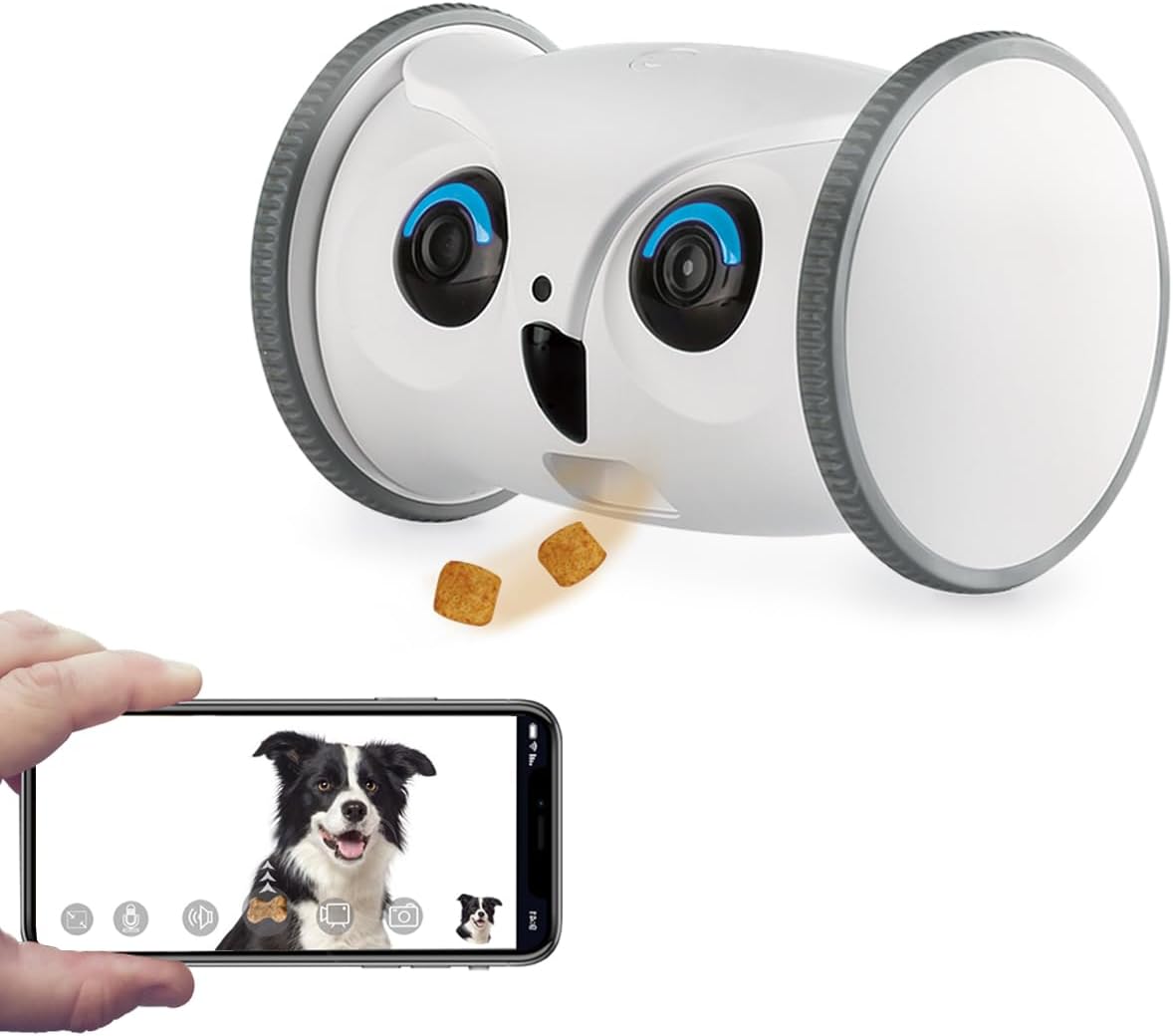 Mobile robot pet camera with treat dispenser on a living room floor