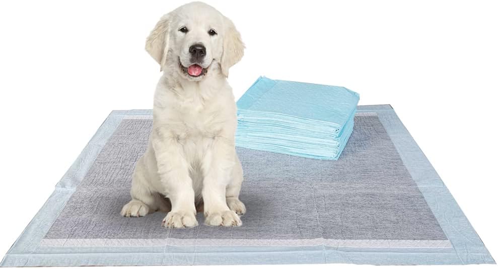 Stack of gray charcoal puppy training pads, one unfolded on the floor