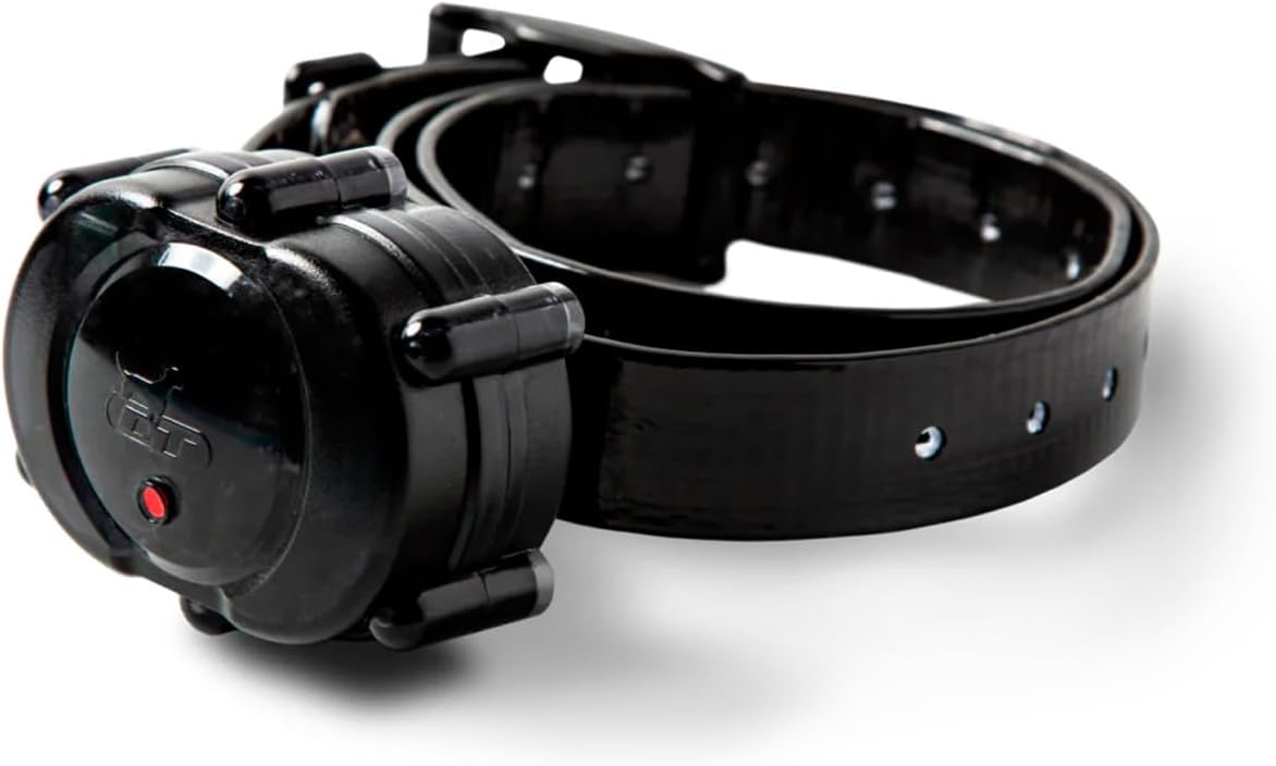 Green add-on dog training receiver collar with adjustable strap – view 2