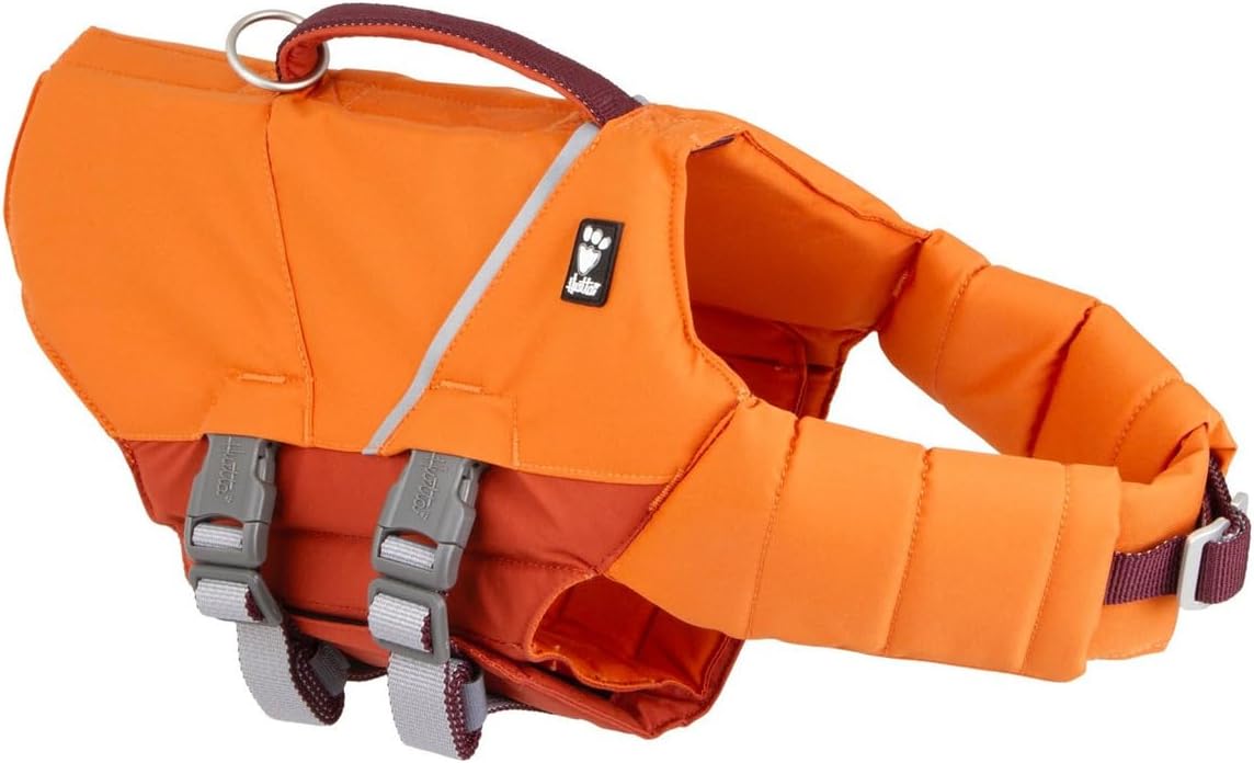 Honey yellow dog life jacket on a small dog swimming – view 4