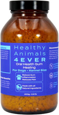 Kennel size container of natural oral care tablets for dogs