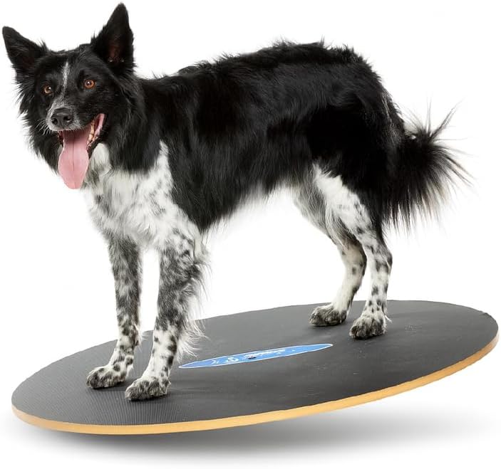 36 inch dog wobble board for balance and core fitness training