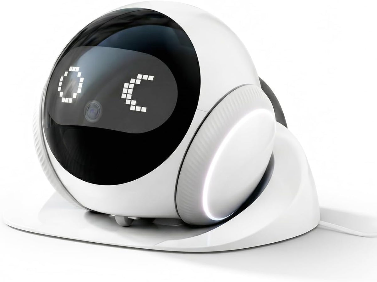 Small wheeled pet camera robot facing a cat on the floor