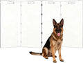 Clear freestanding acrylic dog gate with four panels