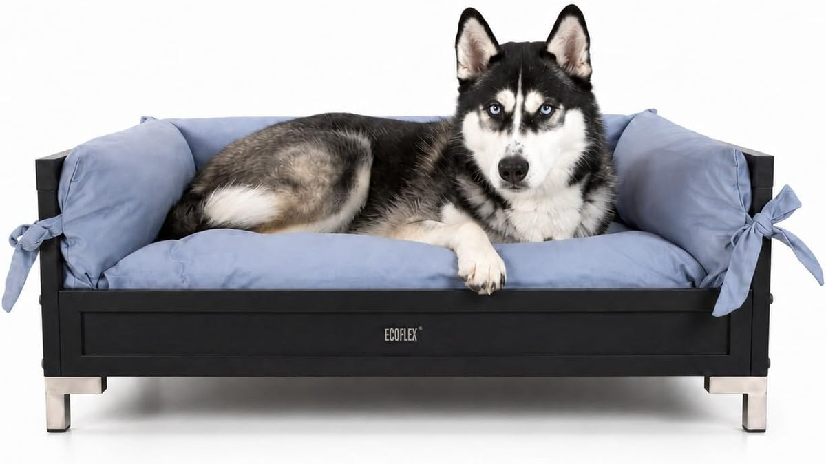 Raised dog bed with grey frame, stainless steel tubing accents and memory foam cushion – view 2