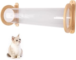 Wall-Mounted Cat Walkway with Transparent Space Capsule, 60 cm