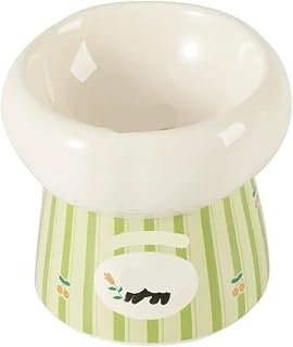 Elevated Ceramic Cat Bowl with Non-Slip Stand