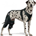 Pair of black hinged neoprene knee braces on a dog's hind legs