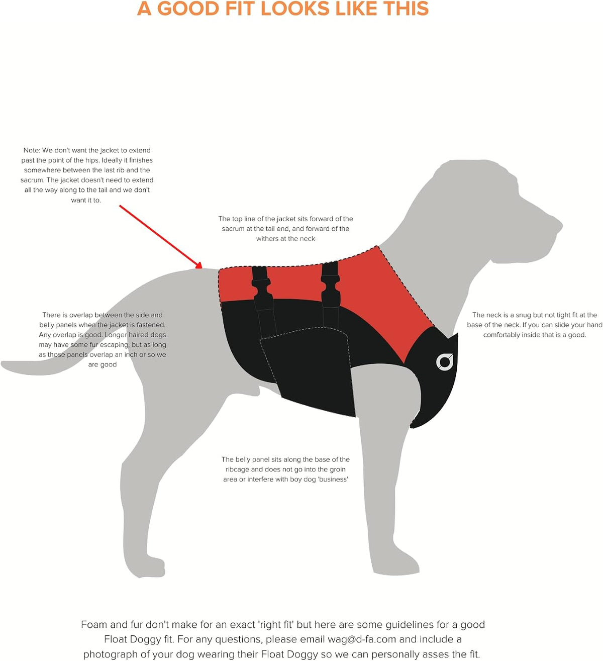 Dog life jacket with flotation panels and adjustable straps