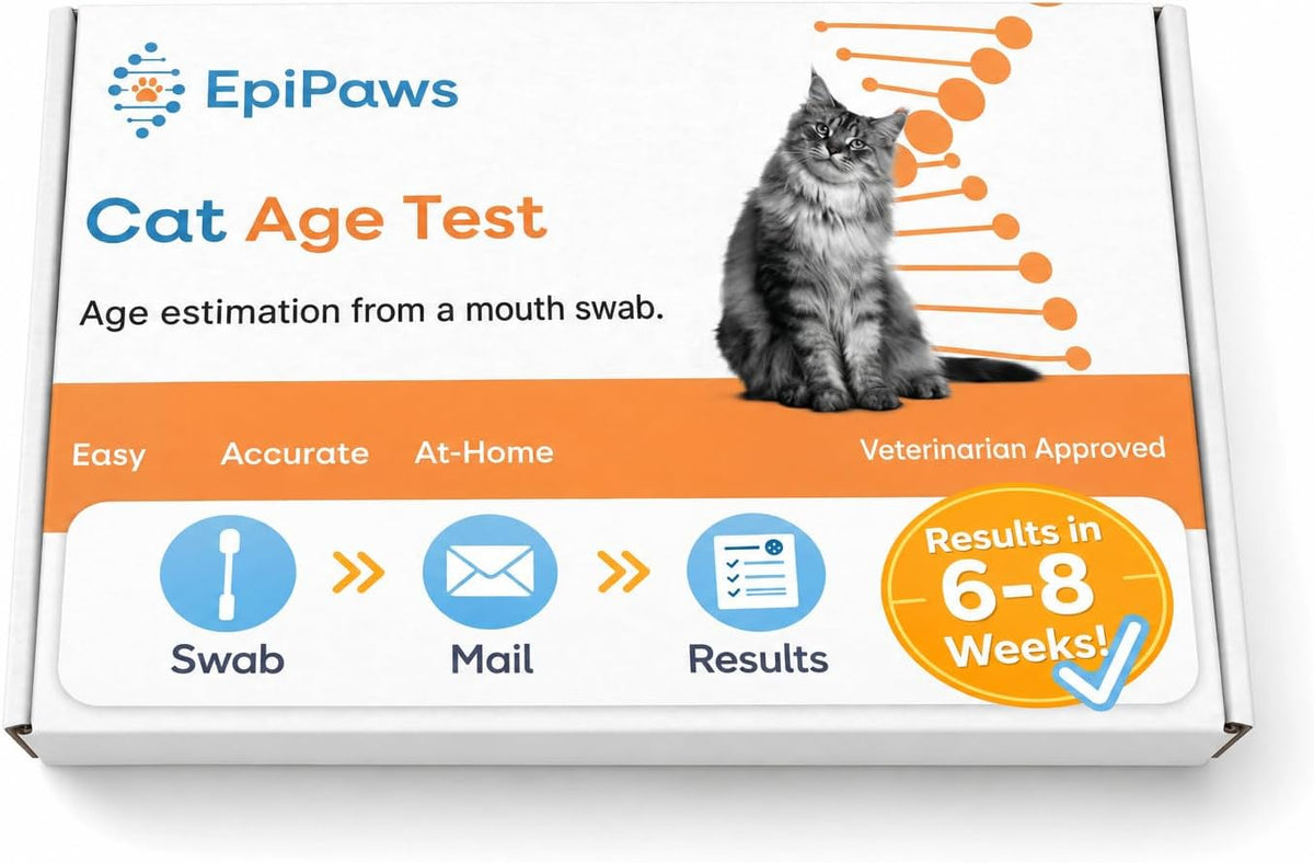 At-home dog DNA age test kit with mouth swab and return envelope – view 2