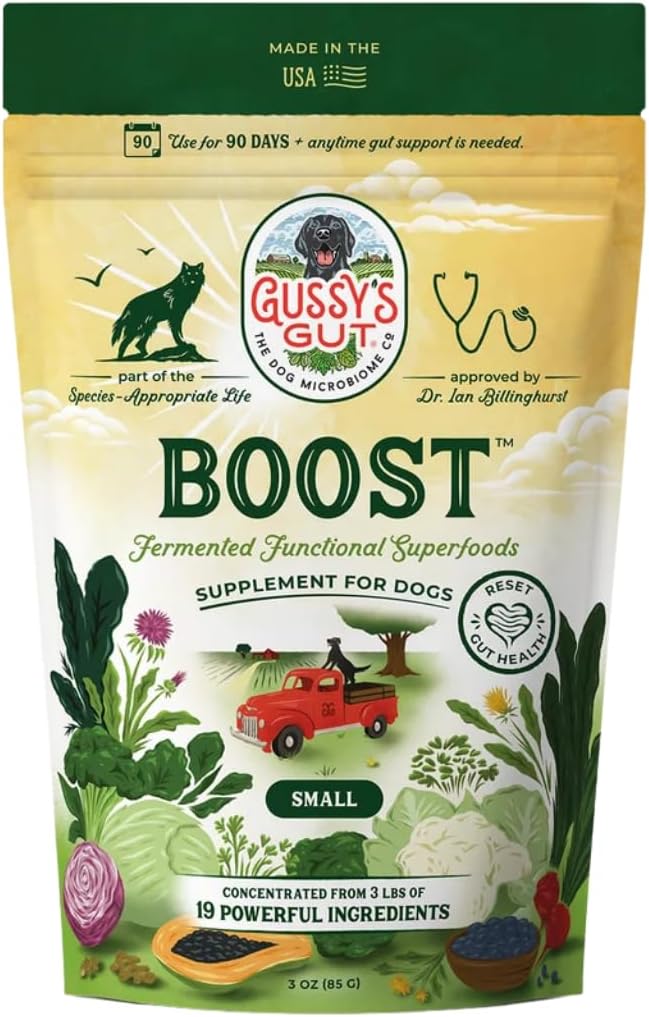 Jar of fermented prebiotic and probiotic powder for dogs with a scoop over a food bowl – view 2