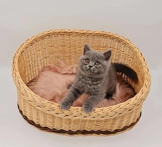 Natural Wicker Cat Bed with Faux Fur Cushion, Round, Beige and Brown