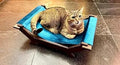 Elevated Cat Bed with Soft Blue Cushion, Wooden Frame, for Kittens and Small Cats