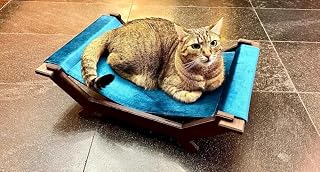 Elevated Cat Bed with Soft Blue Cushion, Wooden Frame, for Kittens and Small Cats