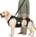 Dog lift harness with detachable rear leg sling and anti-slip socks