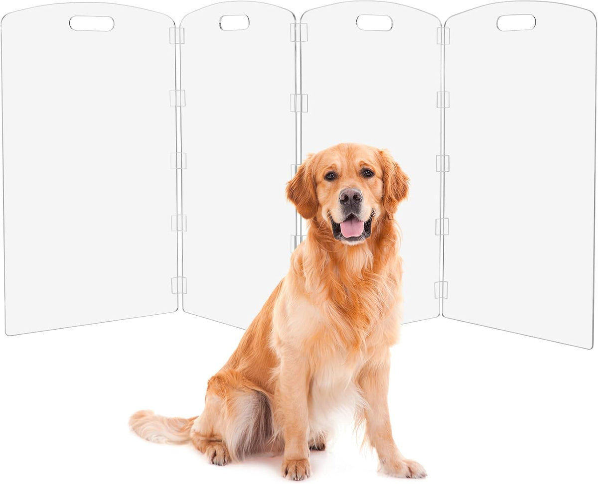 Clear acrylic 4-panel freestanding pet gate folded across a room