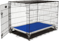 Royal blue vinyl elevated dog bed on silver aluminum frame