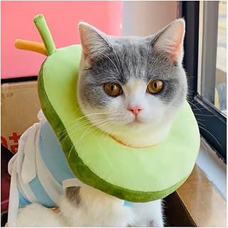 Soft Cotton Adjustable Pet Recovery Collar for Cats and Dogs