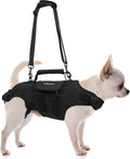 Full body Oxford cloth lift harness with adjustable handle on a senior dog – view 3