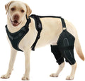 Metal hinged dog knee brace fitted on both hind legs