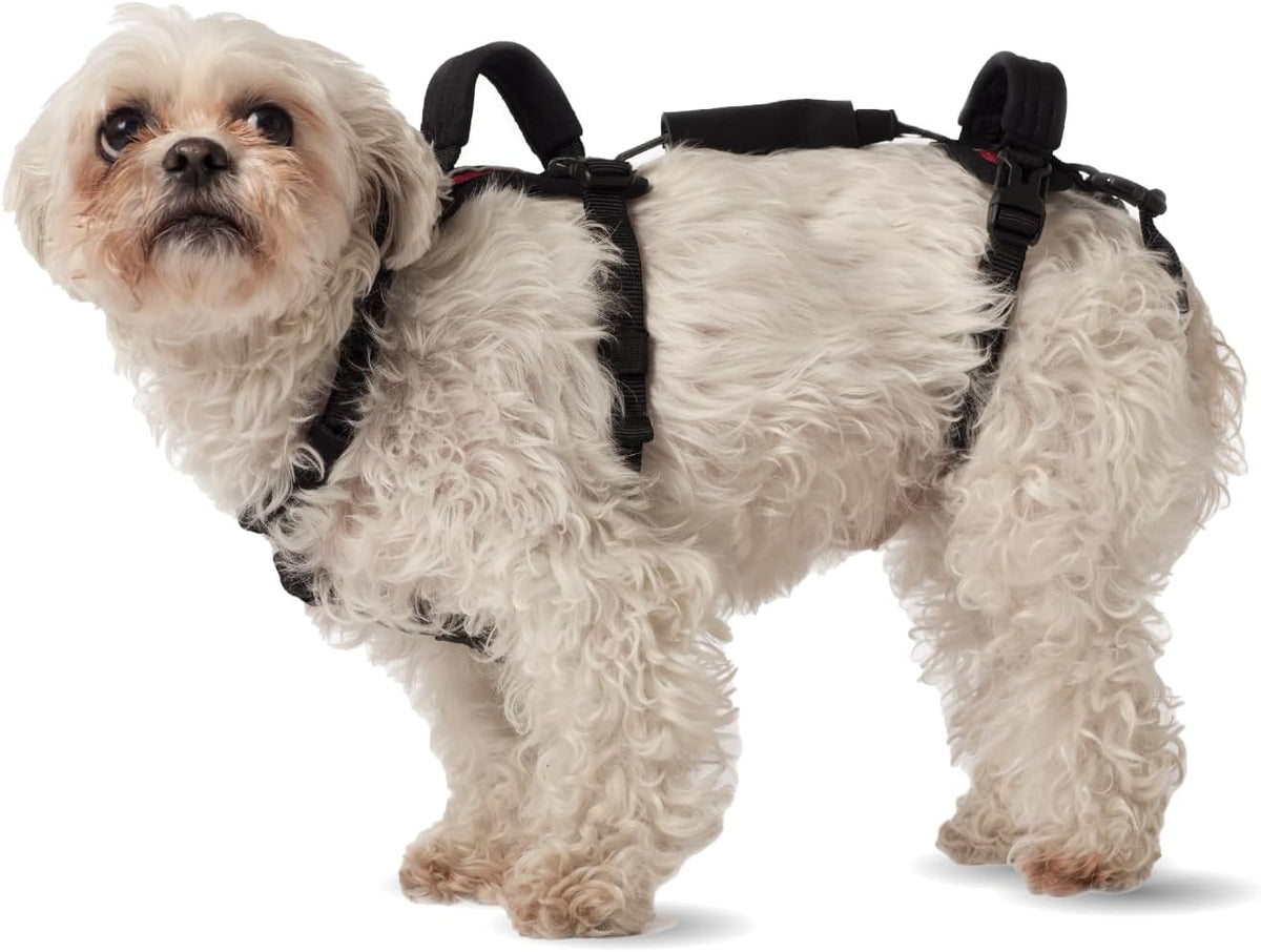 Full support dog lift harness with front and rear sections and back handles – view 5