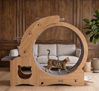 27.5 Inch Cat Exercise Wheel, Running Treadmill with Bowls, Perches and Cat Cave