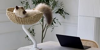 Handwoven Desk-Mounted Cat Bed, White