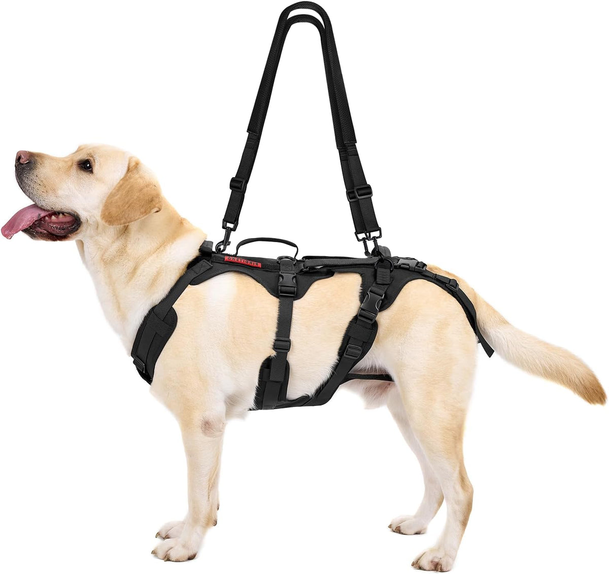 Black full body dog lift harness with three handles worn by a dog – view 2