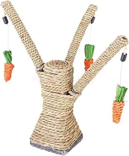 Cat Scratcher Tree with Rope and Carrot Design, Climbing Toy Condo for Kittens