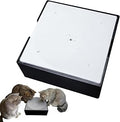 Cat Water Dispenser Drip Toy, Interactive Drip Design
