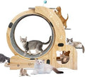 6-in-1 Silent Cat Exercise Wheel for Large Cats, Indoor Running Treadmill and Walking Furniture