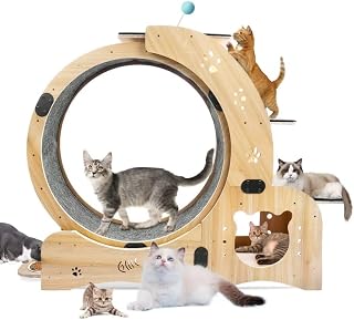 6-in-1 Silent Cat Exercise Wheel for Large Cats, Indoor Running Treadmill and Walking Furniture