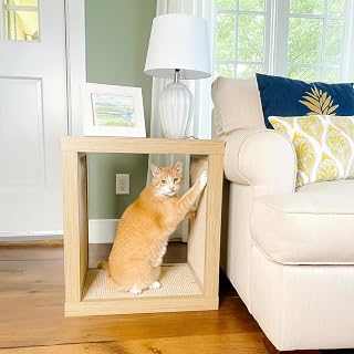 Designer Pet Products 2-in-1 Cat Scratcher End Table, Modern Wood with Customizable Sisal Scratching Pad