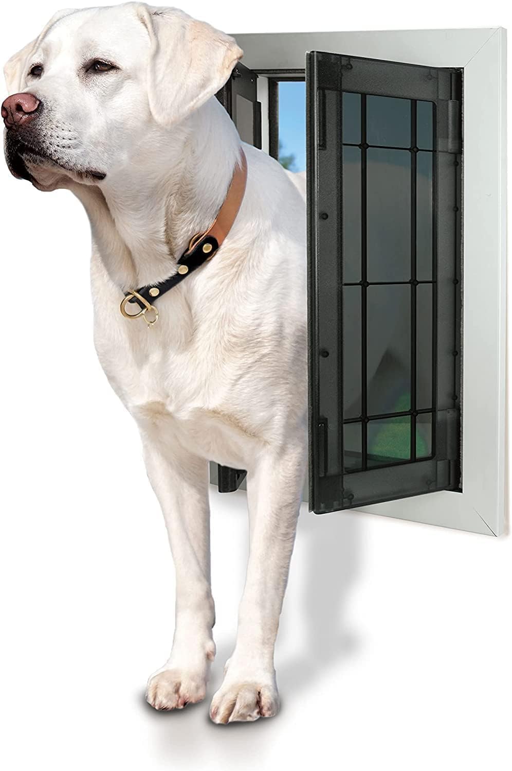 Large swing dog door with solid aluminum frame installed in a door