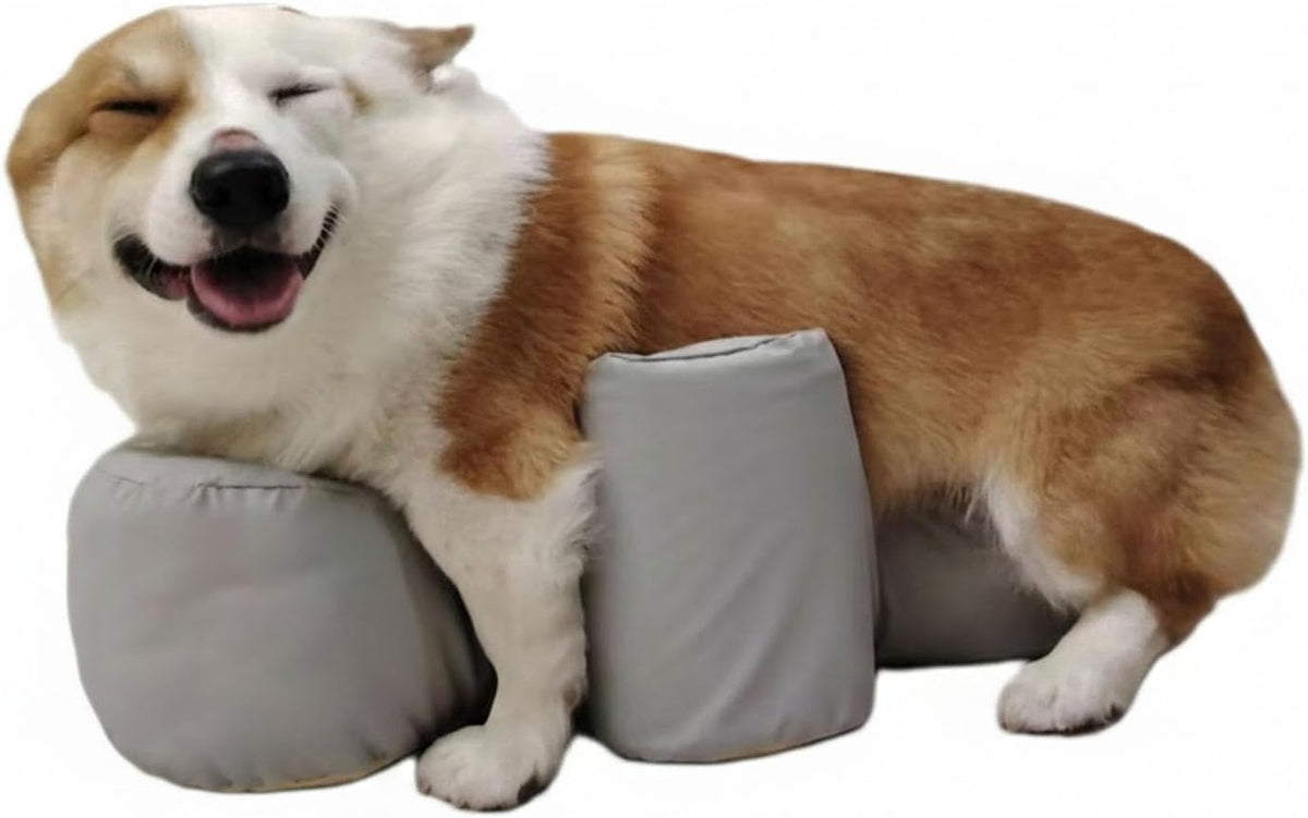 Gray standing aid support cushion for senior dogs