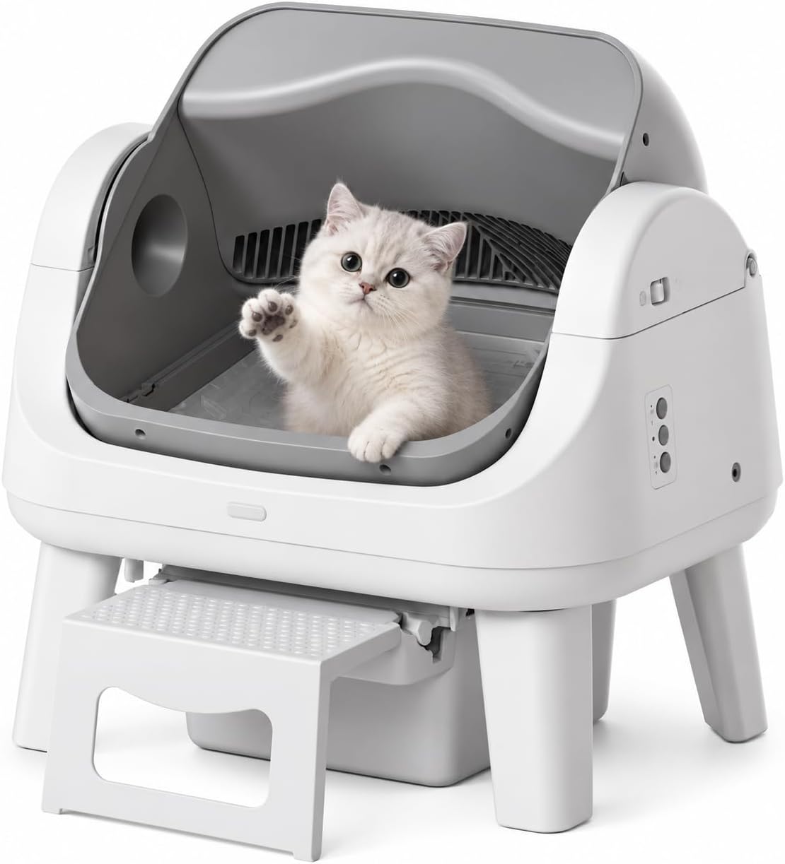 Open-top automatic cat litter box with wide entrance and low step