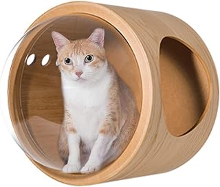 Round Cat Wall Furniture with Wood Shelves and Transparent Capsule, Breathable, for Large and Small Cats and Kittens