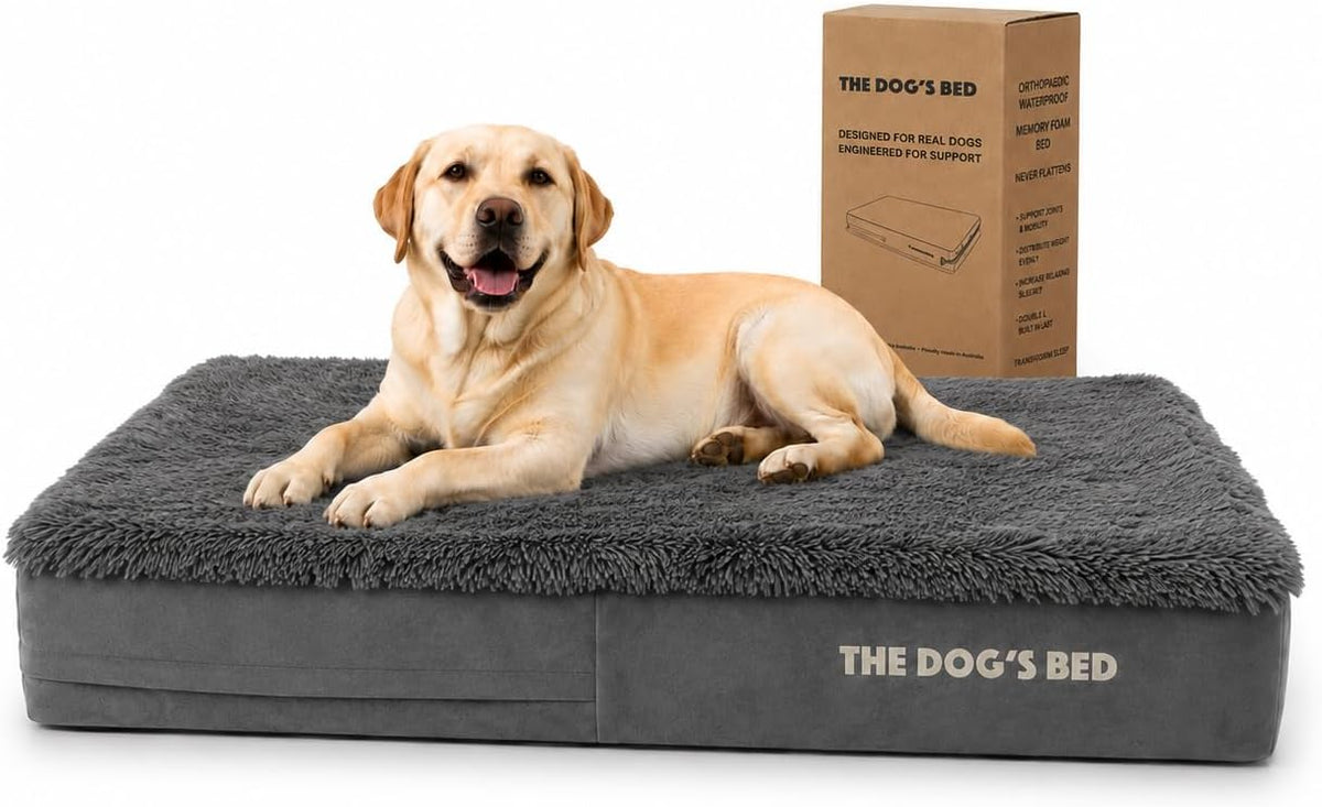 Grey fur large 6 inch waterproof memory foam dog bed