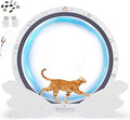 GTPLAYER 40" Cat Exercise Wheel with Detachable Carpet, Teaser and Stickers, Ultra-Quiet Metal Wheel with Latch, White Wings