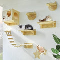 La La Pet Modern Wall-Mounted Cat Shelves and Perches with 9 Steps and Ladder, Climbing Activity Center and Lounger