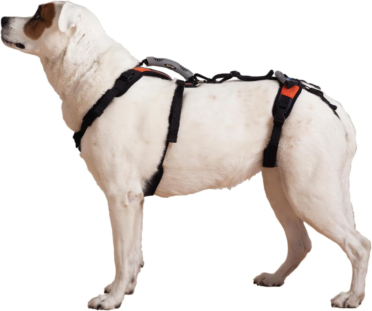 Full support dog lift harness with front and rear sections and back handles